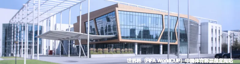 专注世界杯赛事数据，以专业守护每一份热爱
